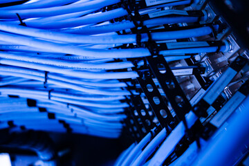 Blue Ethernet Cables in Server Rack