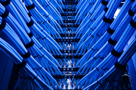 Blue Data Cables in Server Rack View - Powered by Adobe