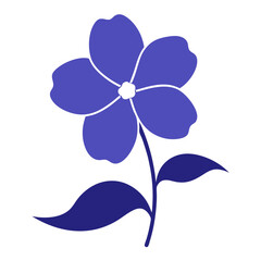 orchid flower vector illustration