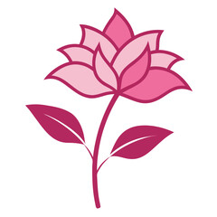 pink flower isolated on white background