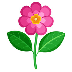 pink flower isolated on white