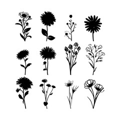 Aster Flower Clipart Silhouette
