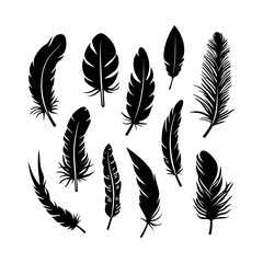 Feather Design Set Silhouette