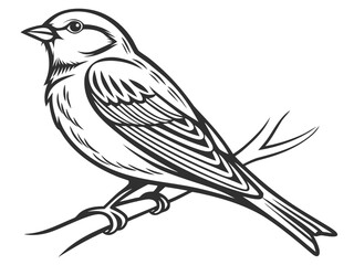 sketch of a bird