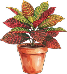 Colorful Croton Plant in Clay Pot Watercolor Illustration © yayan