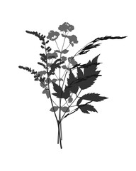 Botanical Bouquet of dry herbs herbarium, prints dark silhouettes of plants, medicinal flowers and herbs and meadow cereals. On white background.