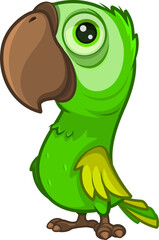 Green bird parrot
