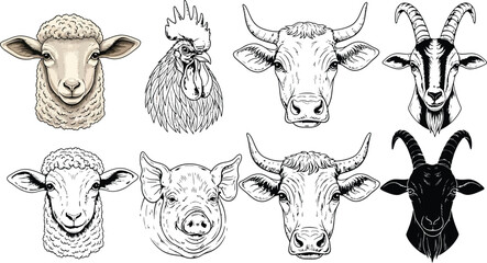 Farm animals vector illustration set of sheep goat cow pig and rooster drawing design art