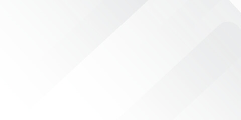 Modern White and Gray Abstract Wave Lines with Subtle Gradient for Digital and Print Design
