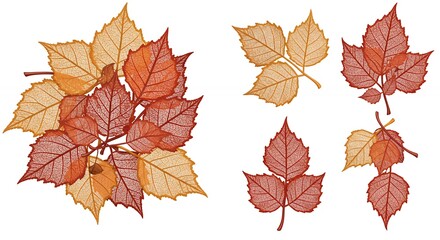 Autumn leaves arrangement illustration
