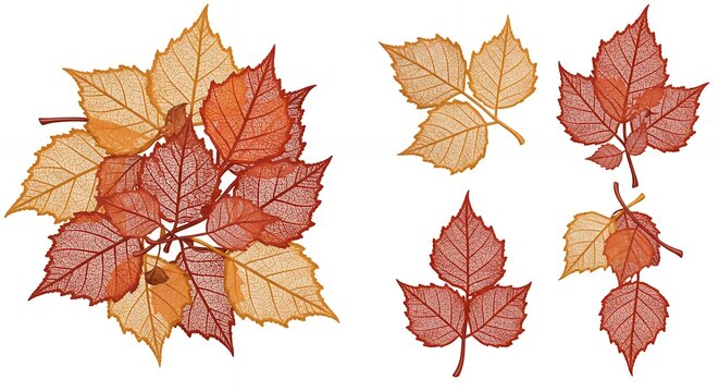 Autumn leaves arrangement illustration