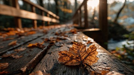 Autumnal wooden bridge with a fallen leaf; sunlit, slightly blurred background shows forest. Warm tones and shallow depth of field