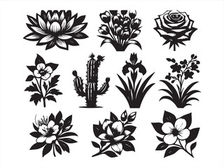 Hand-Drawn Flower & Cactus Vector Set – Black & White Botanical Illustrations