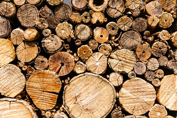 holz