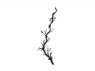 Fototapeta premium Minimal Tree Branch Illustration – Curved Botanical Line Art