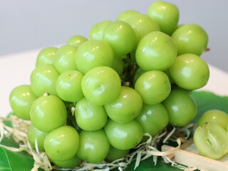 A bunch of fresh grapes on a rustic wooden plate decorated with green palm leaves, tropical and natural still life composition, close-up.