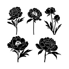 peony flower silhouette clipart set