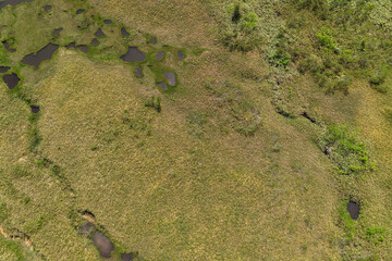 弥陀ヶ原にあるガキの田（ドローンによる空撮）