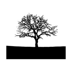 Rush Tree Silhouette clipart on white background