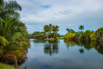 Obraz premium Beautiful landscape with a lake and reflection of palm trees on the water in Tropical Botanical Garden near Coral Gables in Florida, USA. 