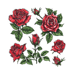 Decorative Roses Artistic Vector Silhouettes