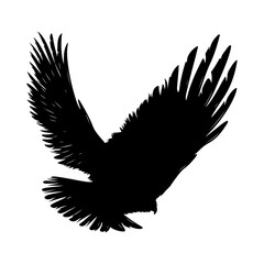 Fototapeta premium Wing Black Silhouette Nature Vector