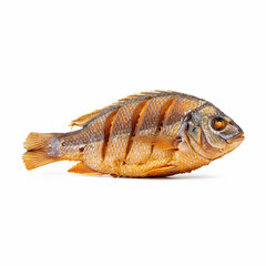 fish isolated on white background