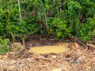 Muddy pond nestled within a lush, green forest environment, encircled by disturbed earth and...
