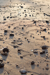 a collection of small and large stones on a beautiful beach on a sunny and cool afternoon