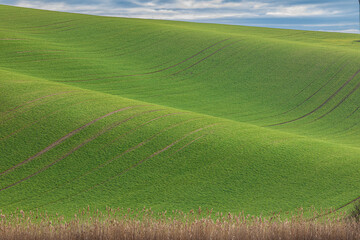 Spring landscape of South Moravia, Czech Republic. Gently rolling green hills with soft curves and...
