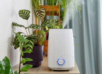 Air humidifier during work among houseplants spraying water vapour steam. Moistens dry air and improving the comfort in the apartment for people and plants.