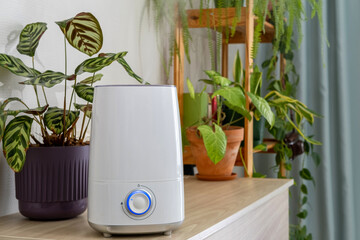 Air humidifier during work among houseplants spraying water vapour steam. Moistens dry air and improving the comfort in the apartment for people and plants.