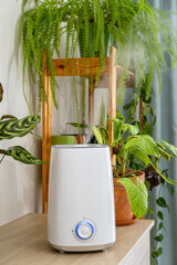 Air humidifier during work among houseplants spraying water vapour steam. Moistens dry air and improving the comfort in the apartment for people and plants.