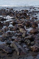 a collection of small and large stones on a beautiful beach on a sunny and cool afternoon