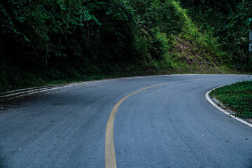 Fototapeta premium Curved forest road surrounded by dense green trees in a tranquil natural landscape