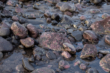 a collection of small and large stones on a beautiful beach on a sunny and cool afternoon
