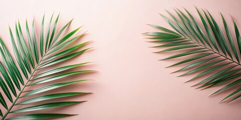Serene tropical fronds arranged symmetrically against a soft blush background, offering a tranquil and minimalist aesthetic ideal for design inspiration.