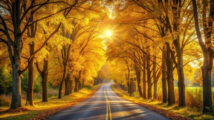 Fototapeta premium Golden Autumn Road Sunlight Dapples Through Vibrant Canopy of Trees Lining a Winding Asphalt Path
