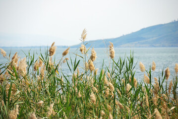 Mar de Galilea, Norte de Israel