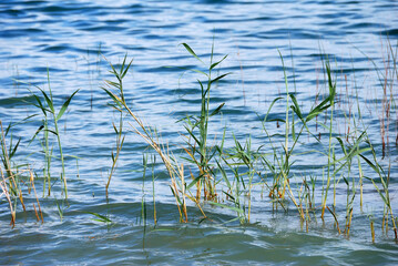 Mar de Galilea, Norte de Israel