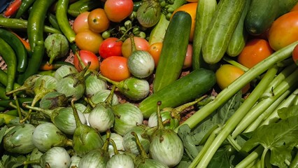 Fresh vegetables for cooking. Vegetables contain dietary fiber that helps cleanse the intestines.