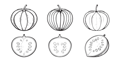 Hand drawn sketch of whole and halved melons silhouette