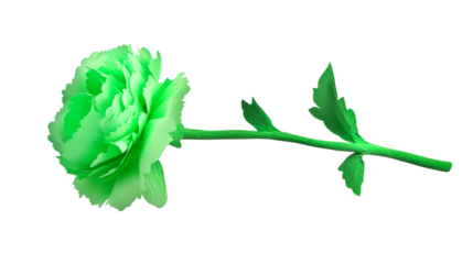 Green flower with a long stem against transparent background