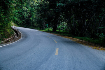Fototapeta premium Curved forest road surrounded by dense green trees in a tranquil natural landscape
