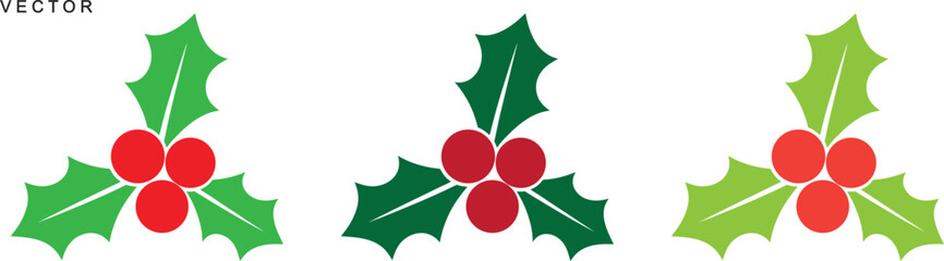 Christmas holly berry vector collection, vector illustration icons set