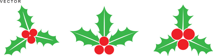 Christmas holly berry vector collection, vector illustration icons set