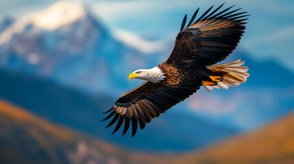 Obraz premium Majestic Bald Eagle in Flight Over Scenic Mountain Landscape at Sunrise