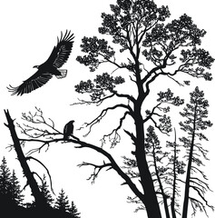 Fototapeta premium Eagle Soaring Through Forest A Nature Illustration with Tall Trees