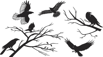 silhouettes of Birds vector