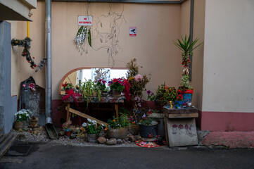 An unusual courtyard with flowers in the city center.